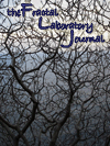 the fractal laboratory journal